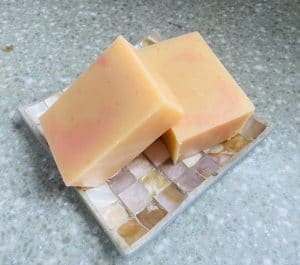 Grapefruit Orange Dish Soap Bar